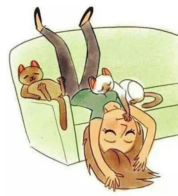 49191685fecb92ba2a07f779b841efb1